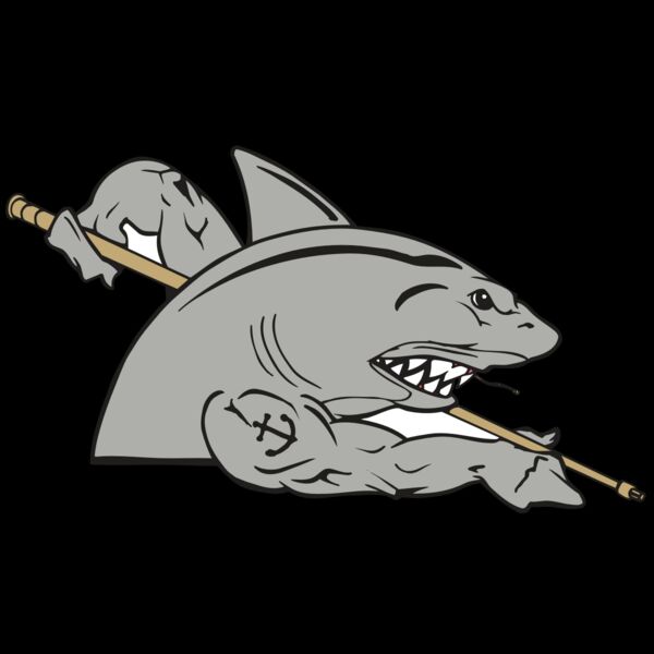 AR POOL 27 RC Thumbnail