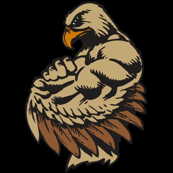 BAW HWK FLCN 02 RC Thumbnail