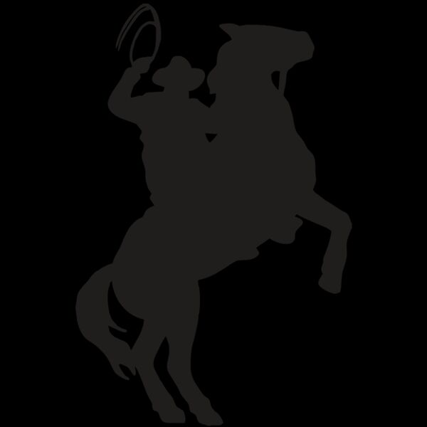 AR COWBOY 26 RC Thumbnail